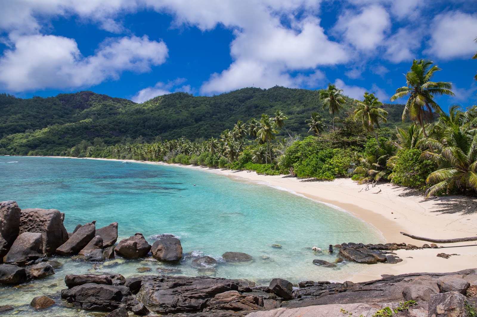Anse Takamaka Beach, Mahe Island, Seychelles бесплатно