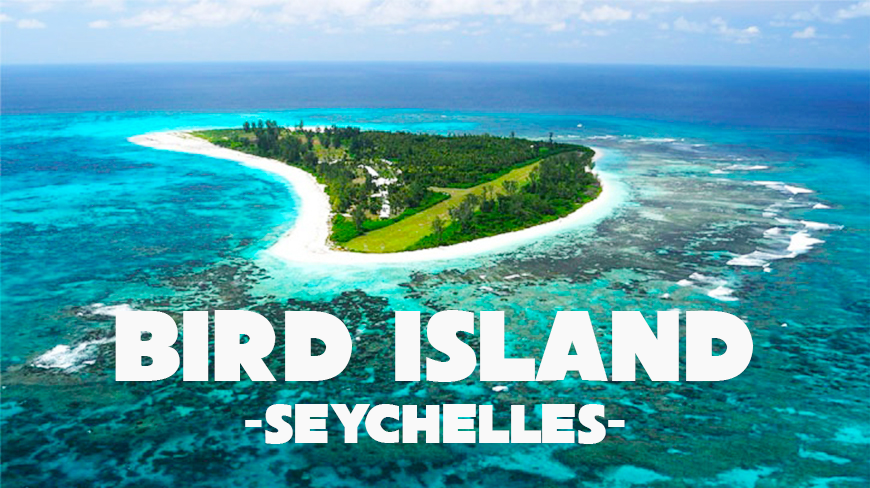bird-island-seychelles
